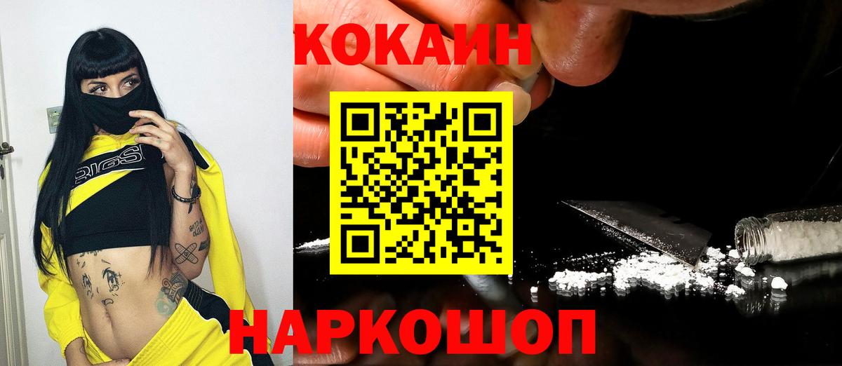 Электрогорск  наркошоп  Вход с VPN  COCAIN FishScale 