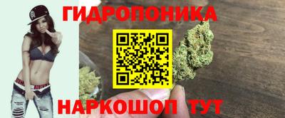 гидропоника Кунгур