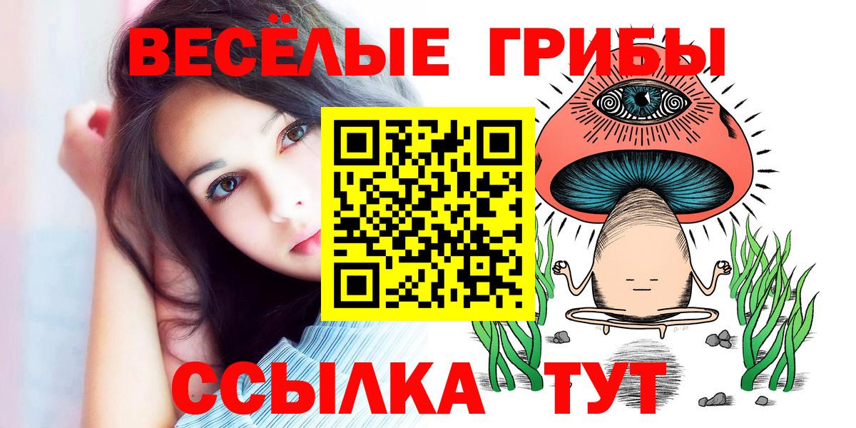 Электрогорск  Псилоцибиновые грибы ЛСД  закладки  Вход с VPN 