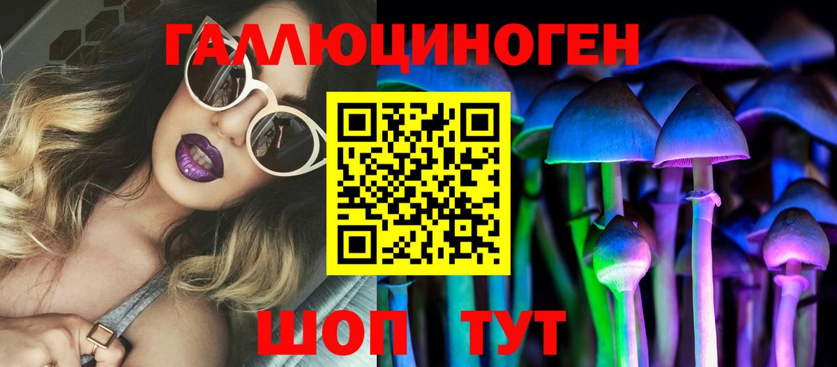 Псилоцибиновые грибы GOLDEN TEACHER Электрогорск
